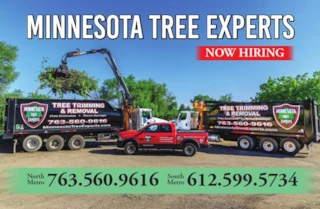 Minnesota Tree Experts